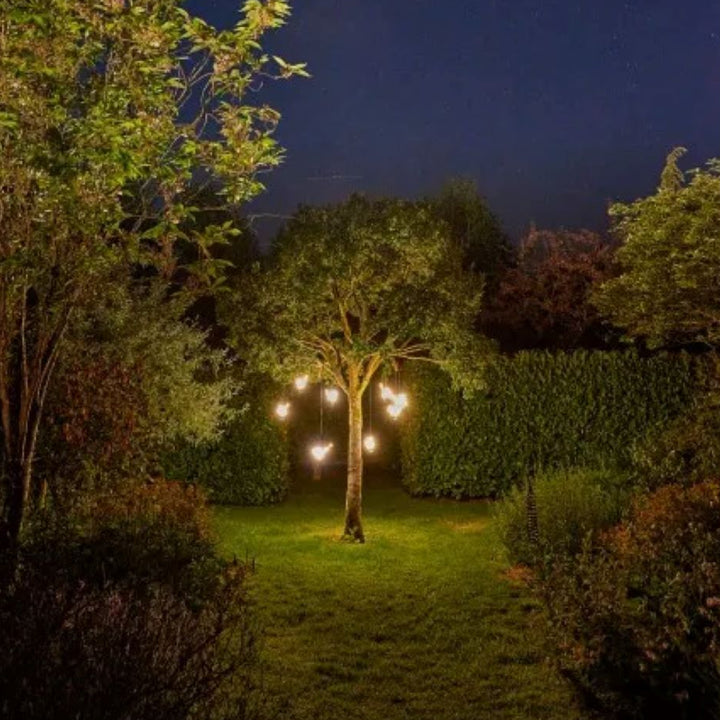 LED  Hanging Robin Light