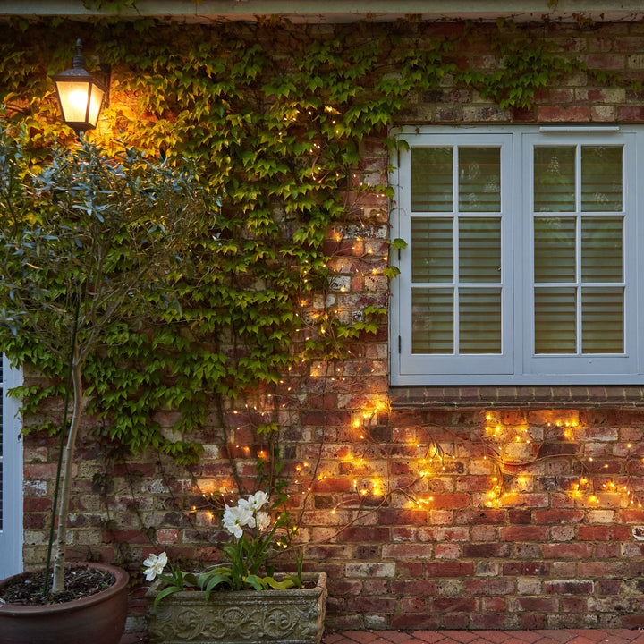 Ivy Branch string of indoor / outdoor lights 
