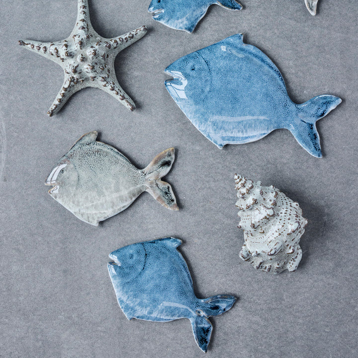 Shellille Shell Decoration