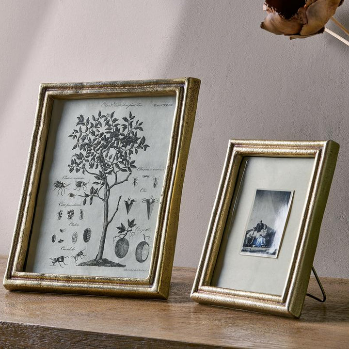 Pambani Photoframe in Antique Brass