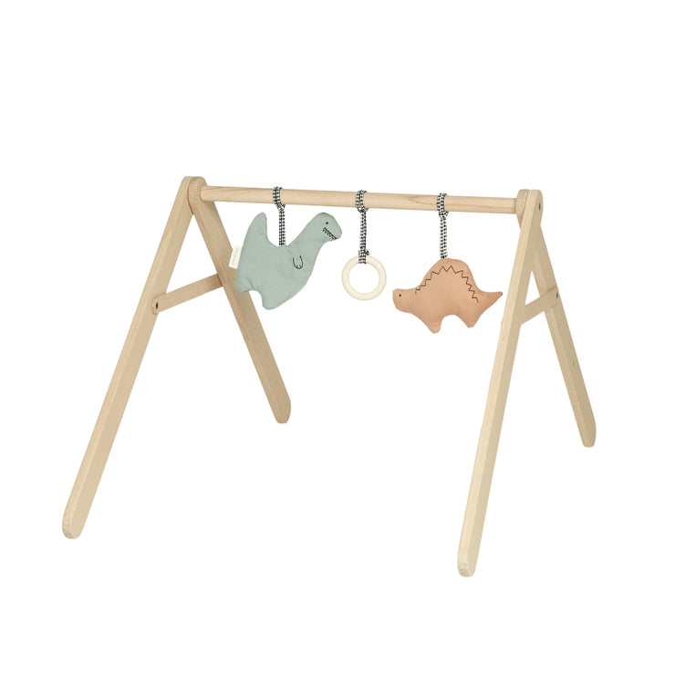 Dinosaur Activity Toys