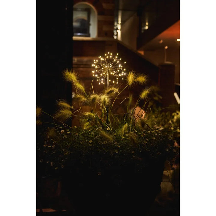 Mini Dandelion LED Stake Light in Brown