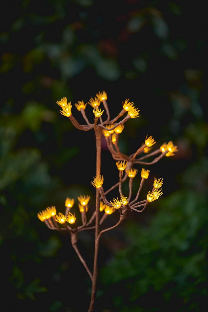 Solar LED Wild Fennel Branch - PRE-ORDER