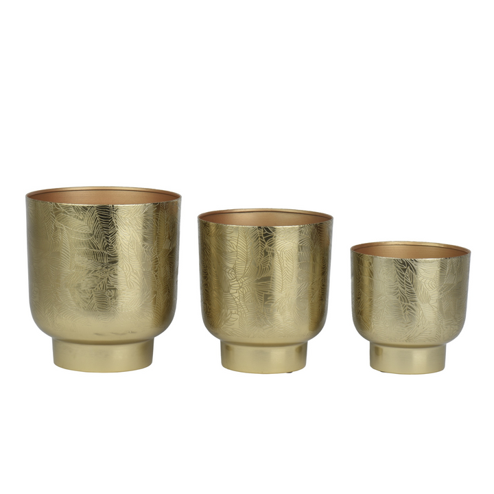 Set of 3 Iron Planters with Leaf Pattern