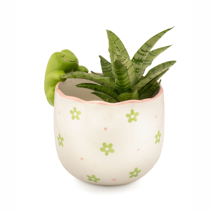Peeking Frog Planter