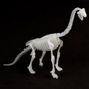 Glow In The Dark Dinosaur Skeleton Kit
