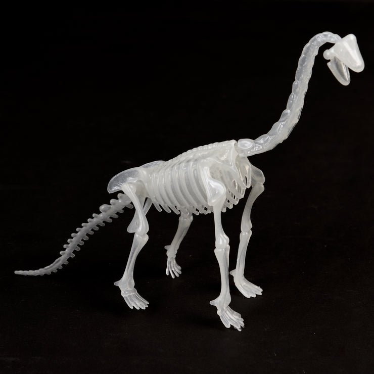 Glow In The Dark Dinosaur Skeleton Kit