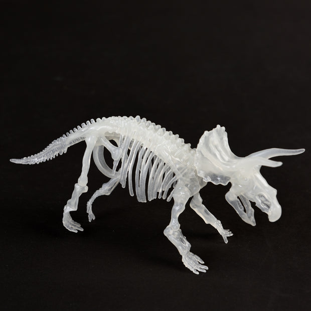 Kit de squelette de dinosaure qui brille dans le noir