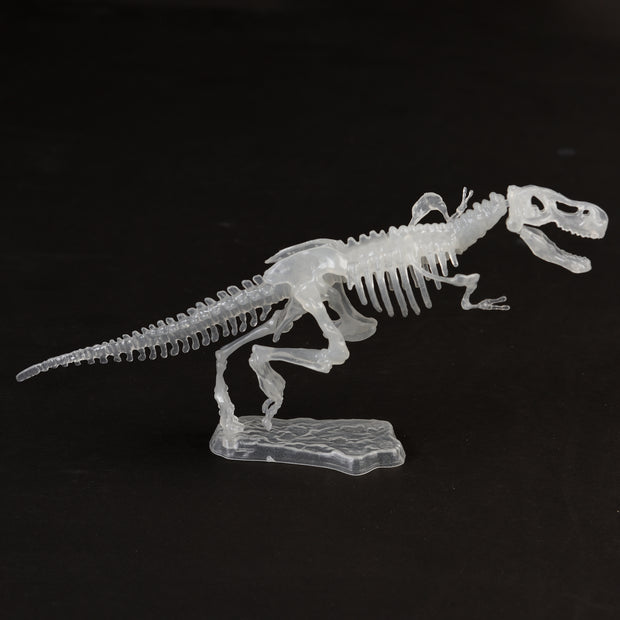 Kit de squelette de dinosaure qui brille dans le noir