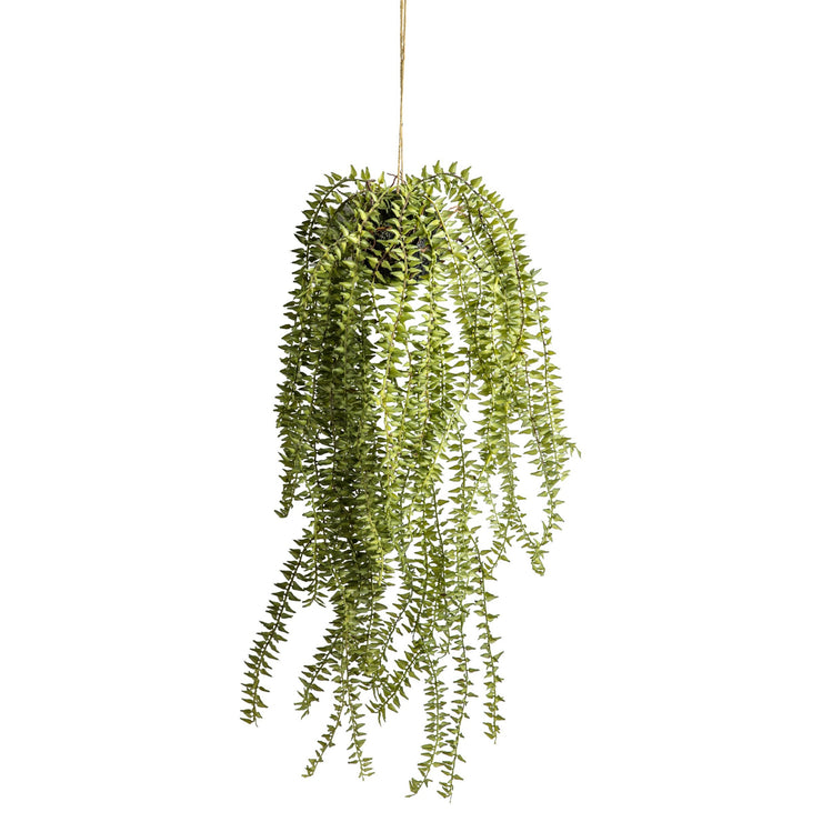Faux Hanging Horsetail Cactus