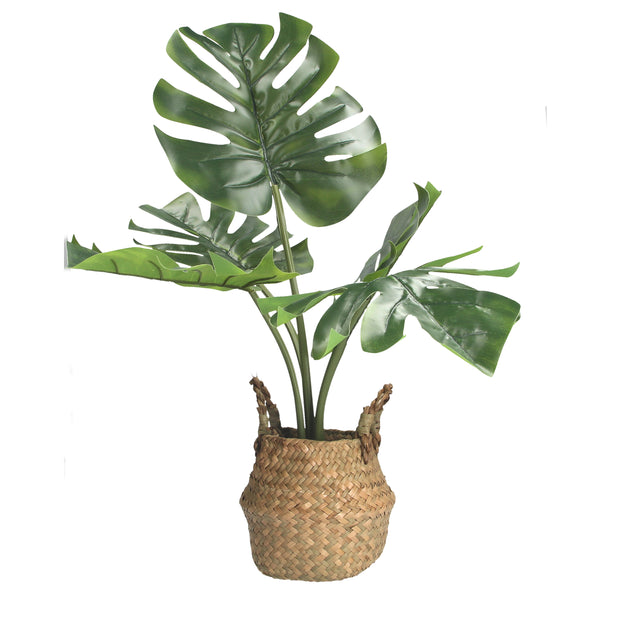 Faux Potted Monstera Plant In Basket