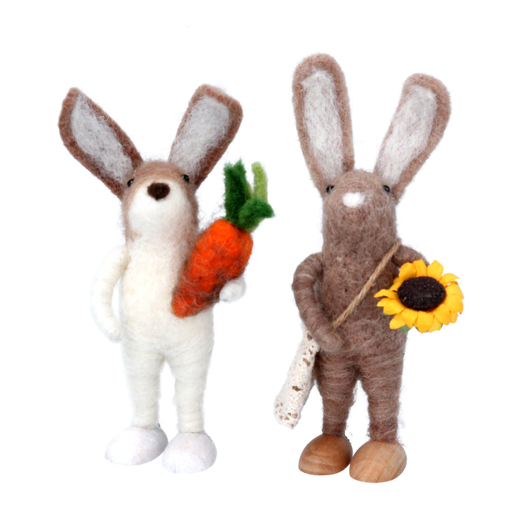 Easter Bunny With Carrot & Sunflower