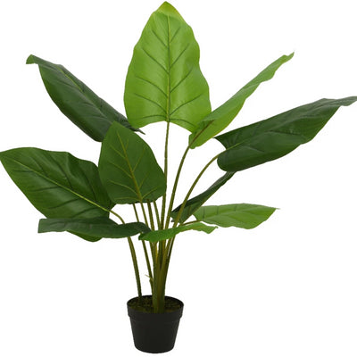 Faux Taro Potted Plant