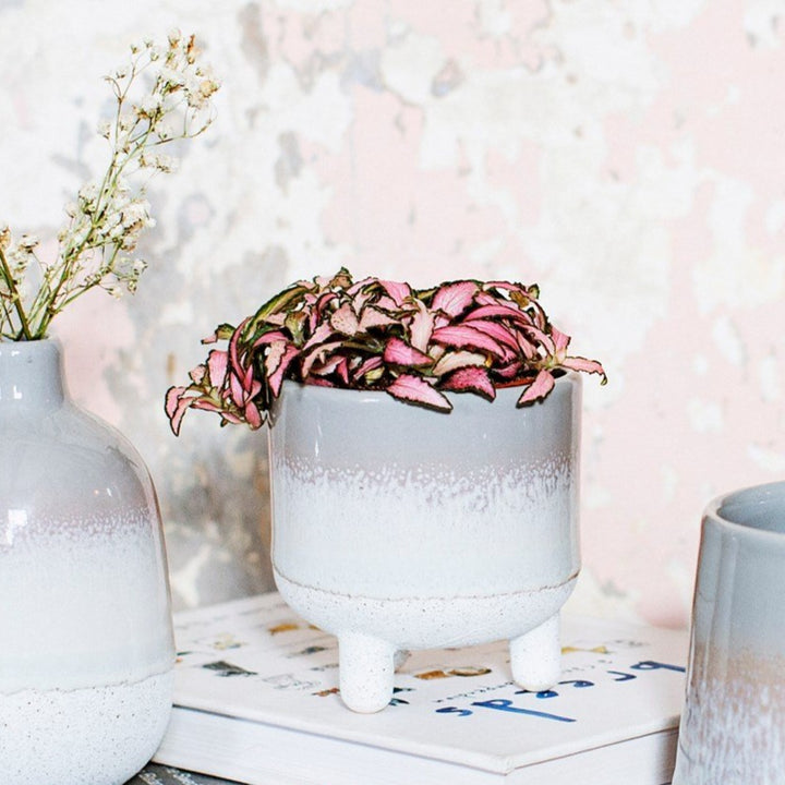 Glaseret Ombre plantekasse i grå