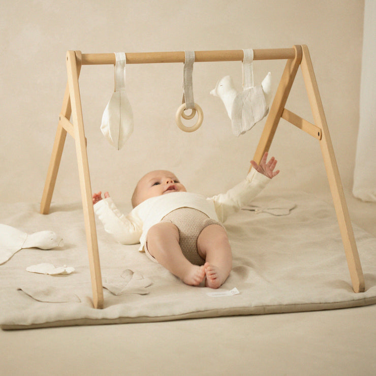 Lin Francais Baby Bouncer with Greige Linen Cover by Nobodinoz