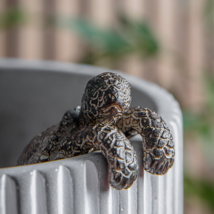 Skildpadde Pot Hanger