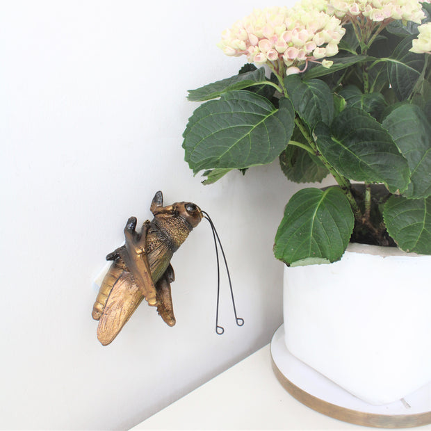 Decorative Grasshopper