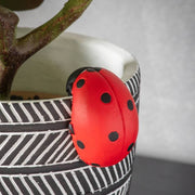 Ladybird Pot Hanger