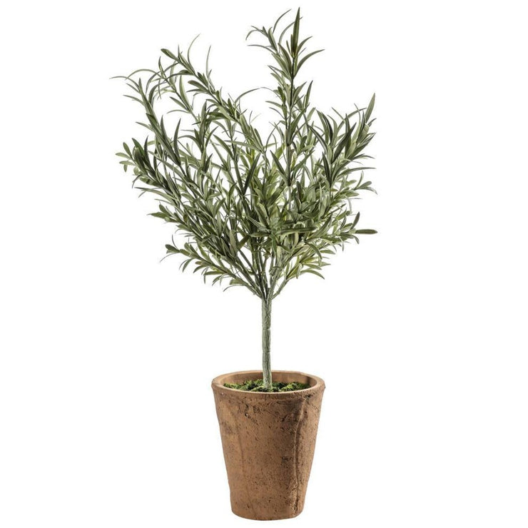 Faux Olive Tree In Cement Pot